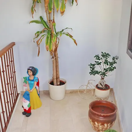 Reyes Conil De La Frontera