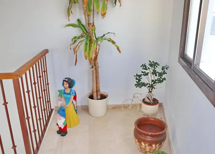 Reyes Conil De La Frontera